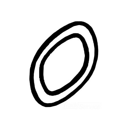 Kohler Washer, Spring, 0.459 X 0.608 X 0.008 1006719